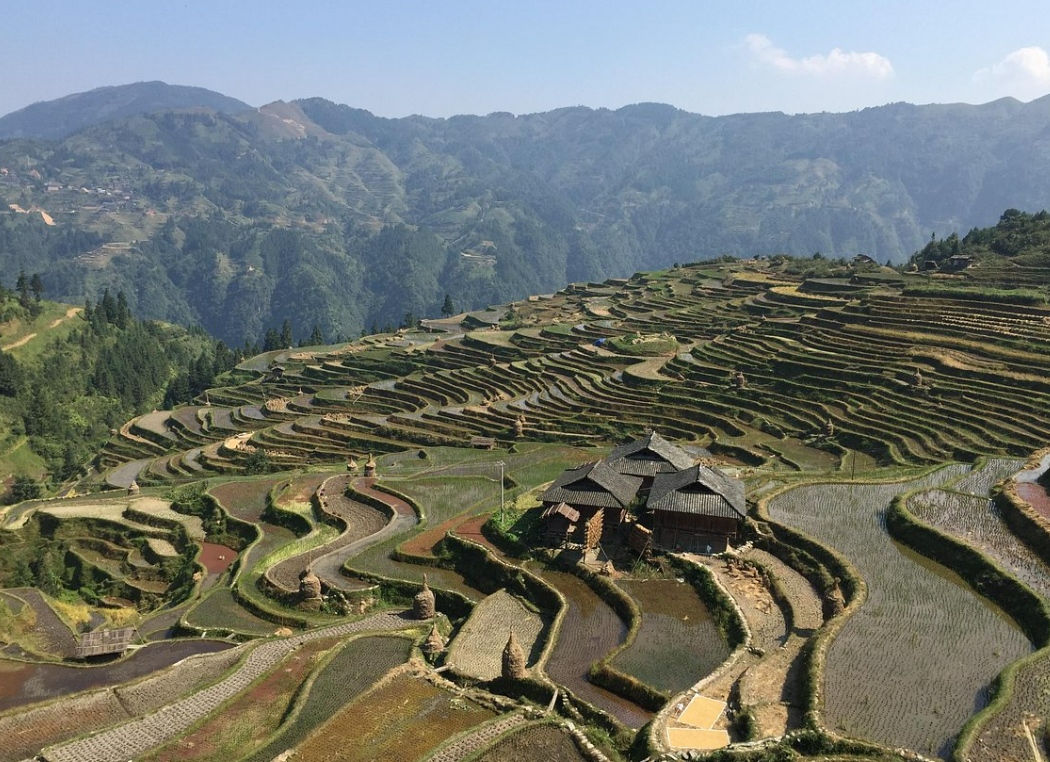 JIABANG RICE TERRACES